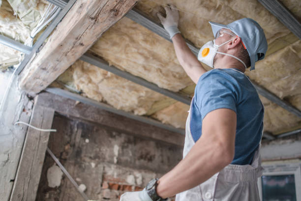 Insulation Inspection Services in Stevensville, MD